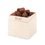 truffes neigeuses T3