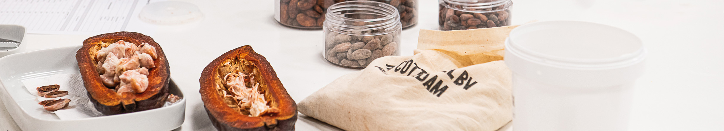 cacao martel chocolatier